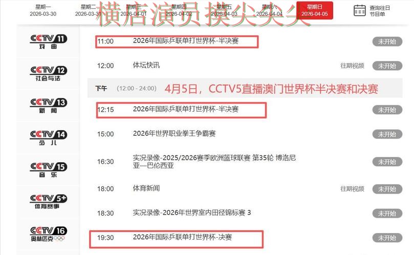 世界杯投注平台推荐深度评测合集：覆盖数据分析+直播与入口方式 - 世界杯直播